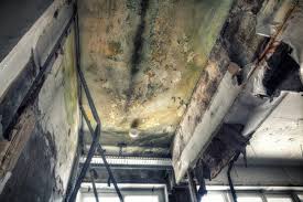 Best Mold Removal for HVAC Installations  in Americus, GA